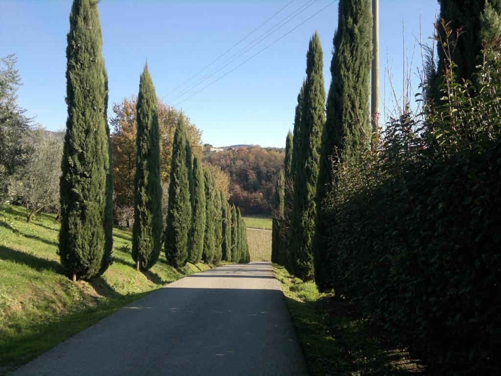 Il Casolare Di Leonardo Hotel Vinci Exterior foto